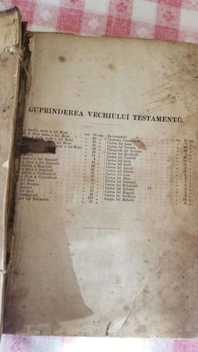 Biblia de la Iasi