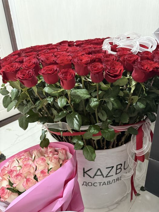 Гүл 201 роза свежий срочно