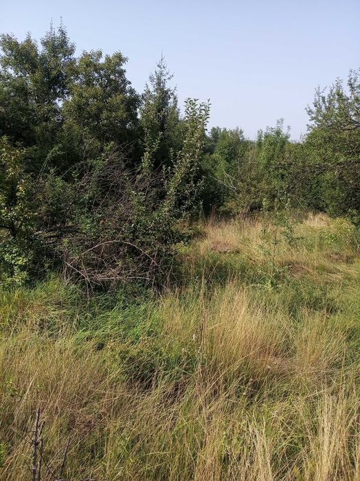 Продава се Парцел в с. Ялботина, Област София-област - 1000 кв.м за 8 €/кв.м - Снимка #8