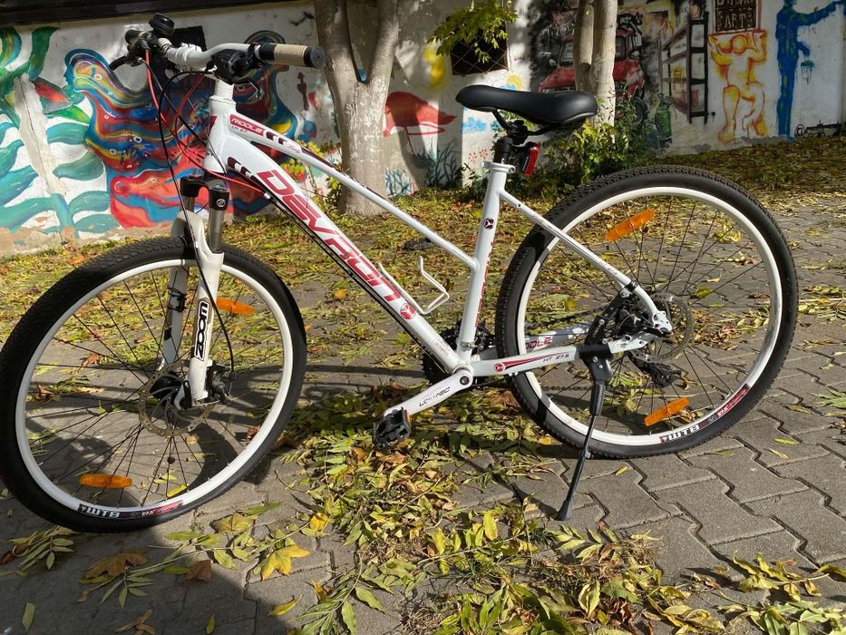 Bicicleta mountain bike