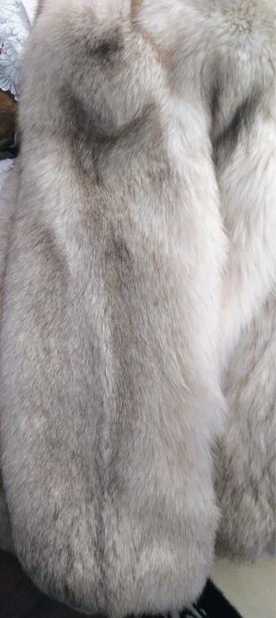 blana naturala(vulpe argintie) 1000 lei