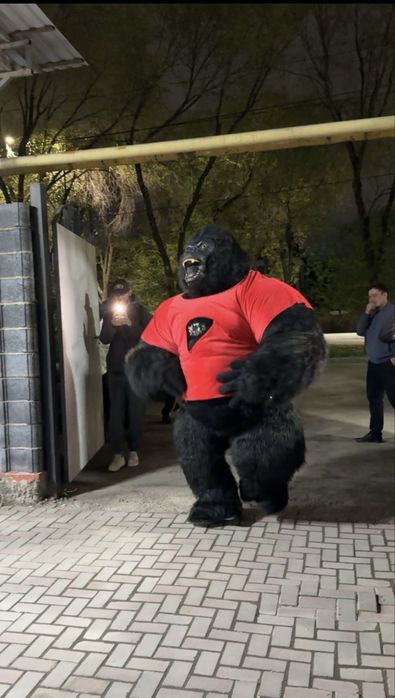 Ростовые куклы, Шоу программа, Корпоративы