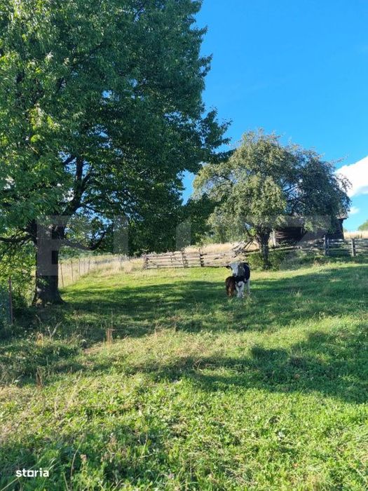 Teren intr-o zona superba din Campulung Moldovenesc