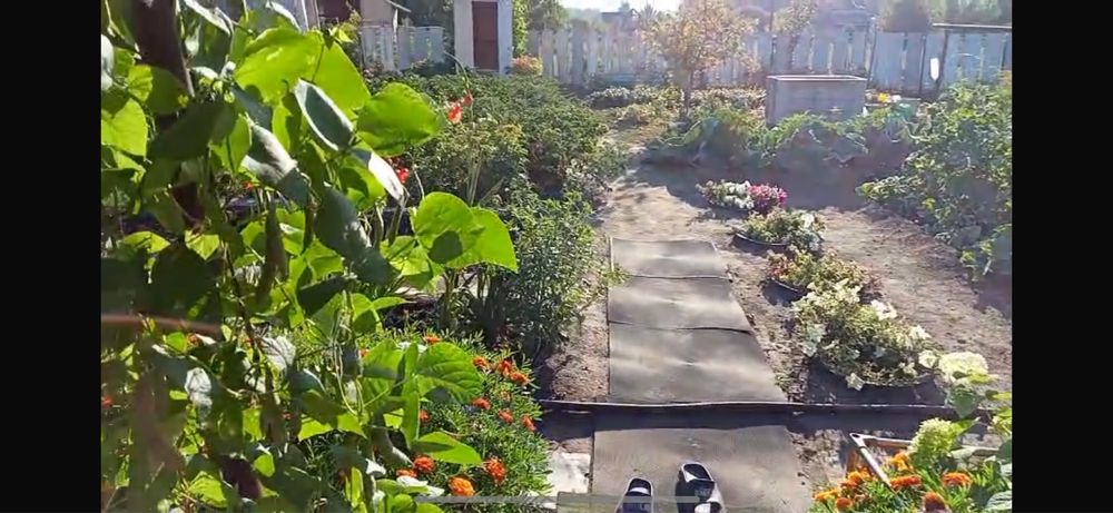 Продам дачу за Васильевкой