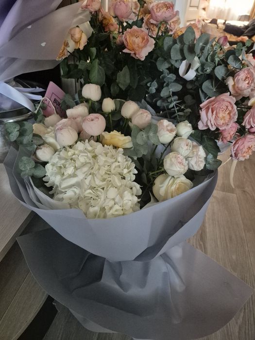 Цветы продам цветы