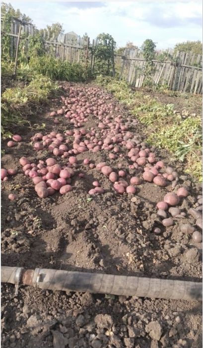 Продается дача. Д/О Черемушки