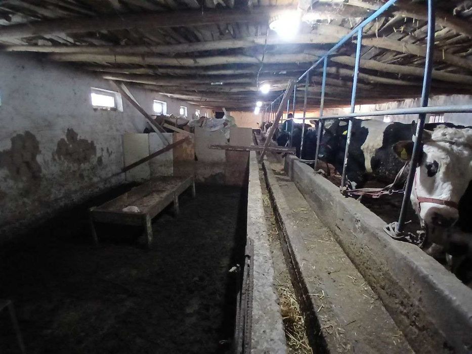 Продажа готовый бизнес 20соток Аргин Кипчок