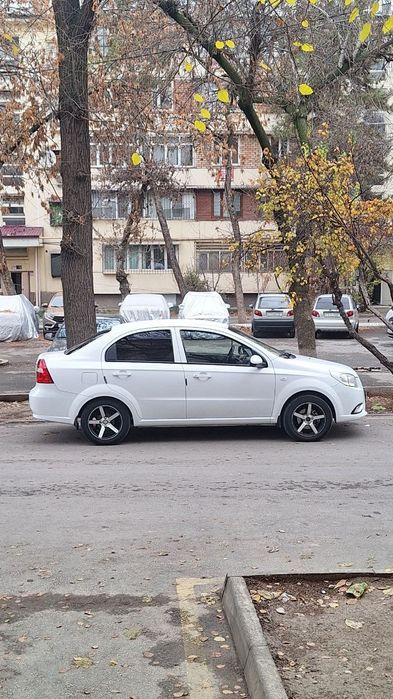 Barcha malumot telda