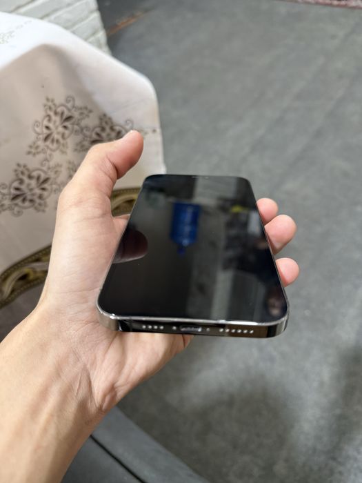iPhone 12 pro max