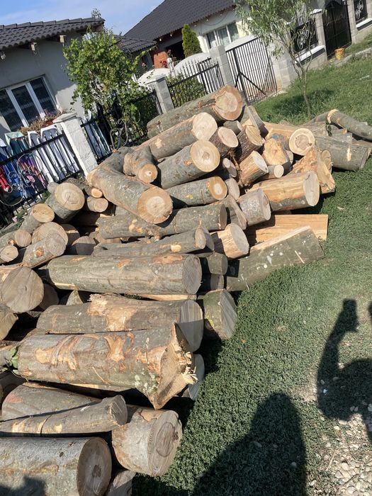 Deozit autorizat comercializăm lemne de foc [Fag,Gorun,Carpen,Cer]