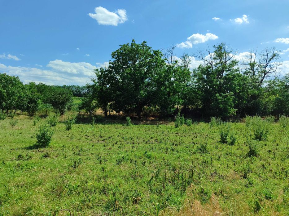 Продава се Къща в с. Къпиново, Област Добрич - 80 кв.м за 49 €/кв.м - Снимка #4