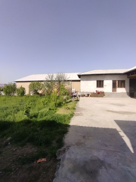 Kottakon hovli sotladi