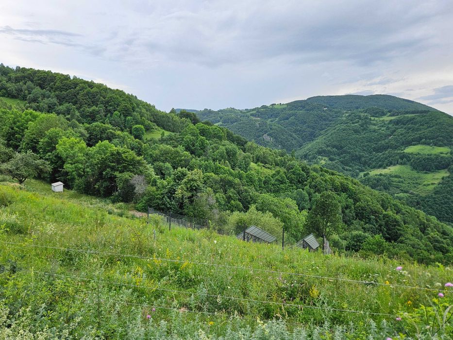 Teren de vanzare pe Transalpina de Apuseni