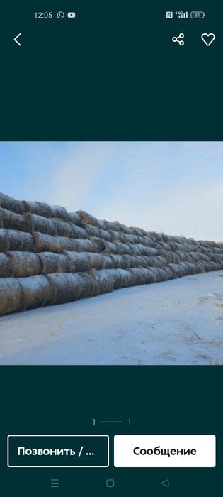 Продам сено луговое