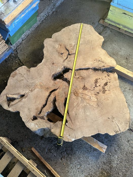 Oрех маслина чинар Шайби масив за епоксидна смола