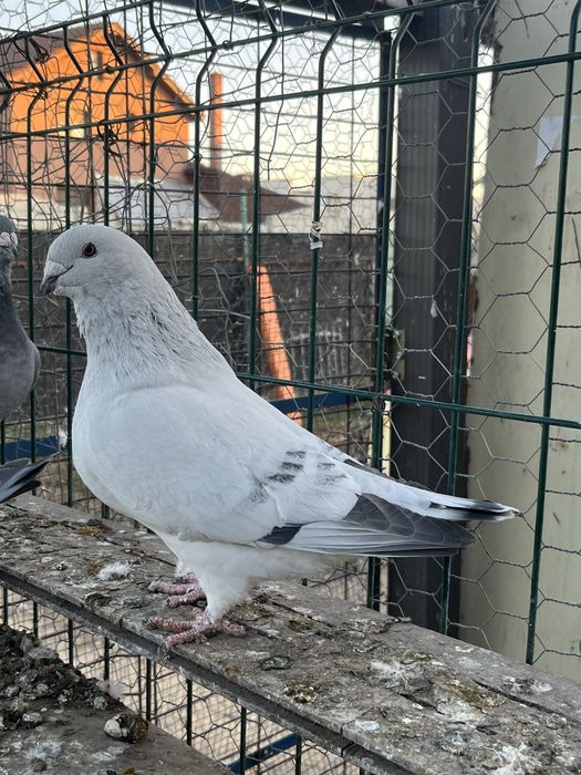 Lot disponibil ptr case noi