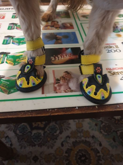 Сандалии для мелких пород 2 размер.