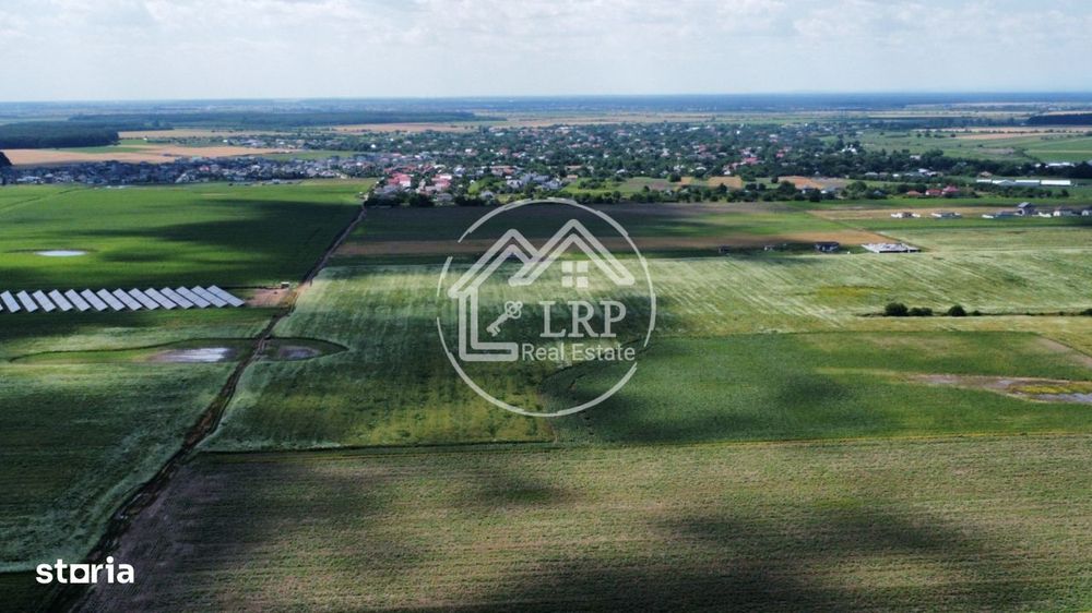 Teren Intravilan 20.000 mp Creata Dascalu, T66– dubla deschidere