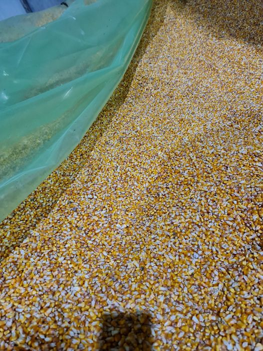 Vand porumb Românesc