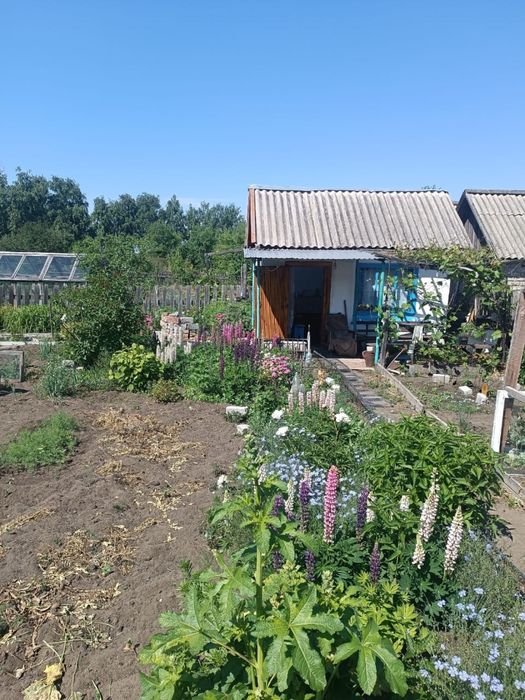 Продам дачу сад Здоровье