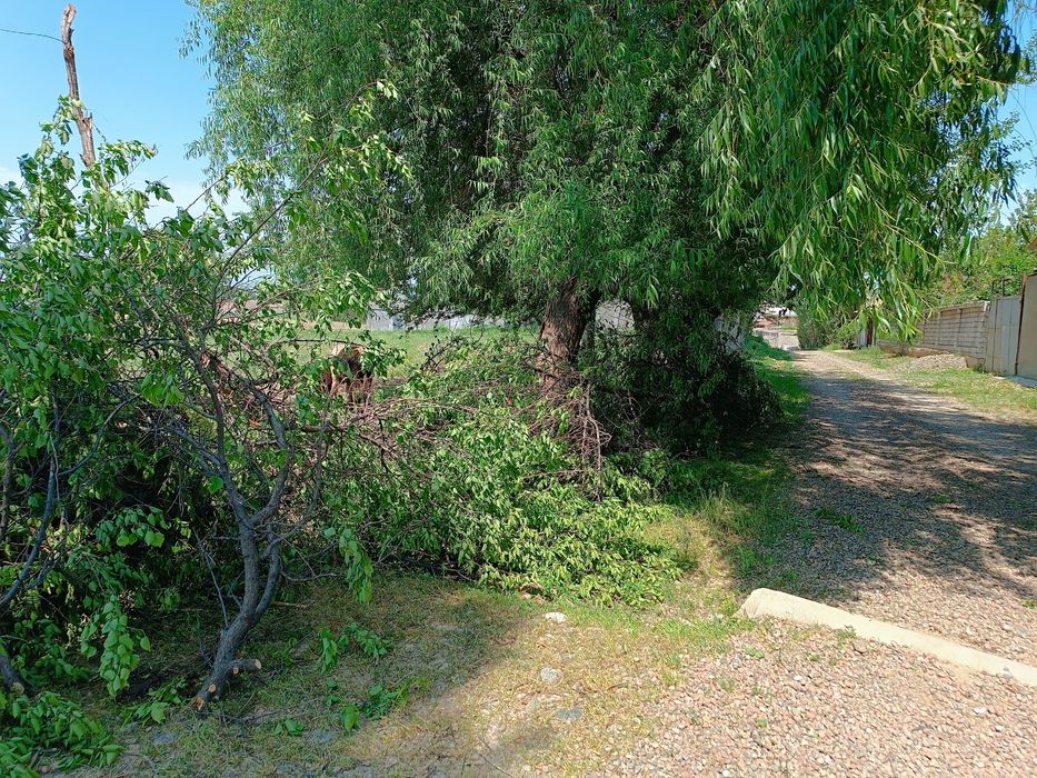 Отин бор отин керакми