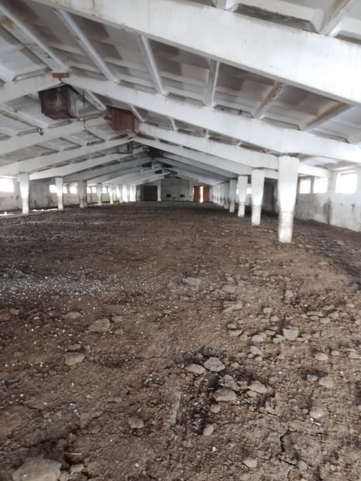 Продам базу рядом с Хоргосом