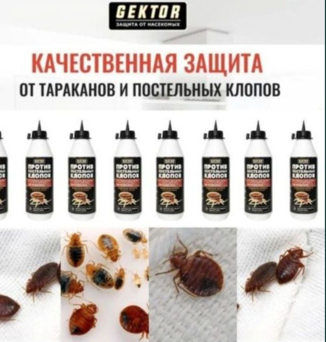 Tarakan,suvarak,klapa,pawwa,chivin,chumoli,kaltakesak,sichqon,kalamush