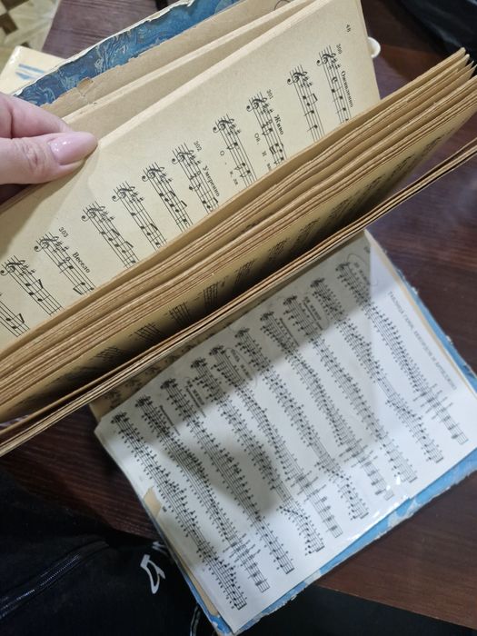 Сольфеджио книга