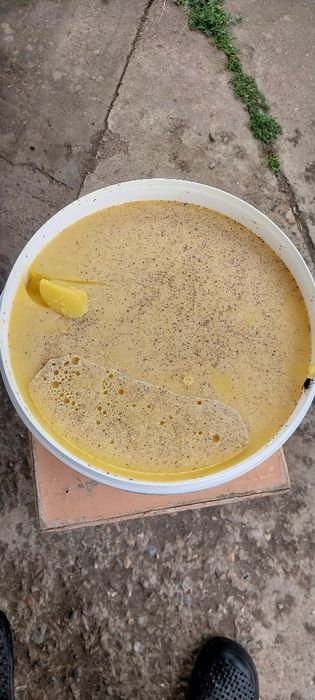 Продам мёд оптом и в розницу