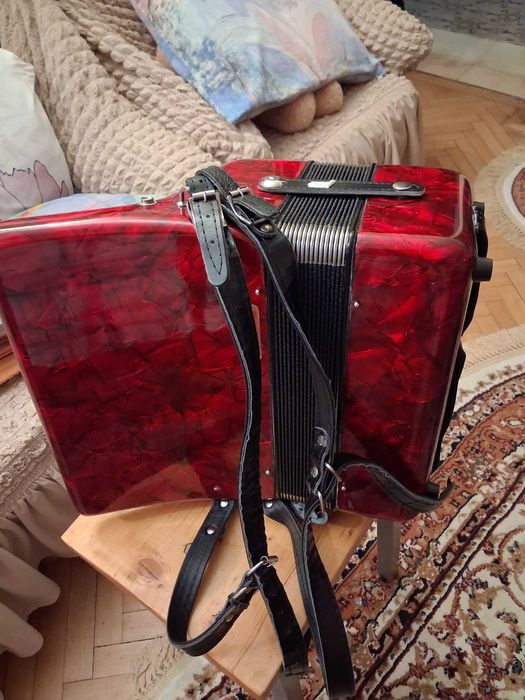 Acordeon pentru copii Parrot