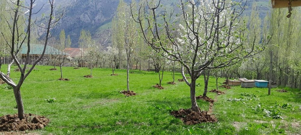 Участка сотилади