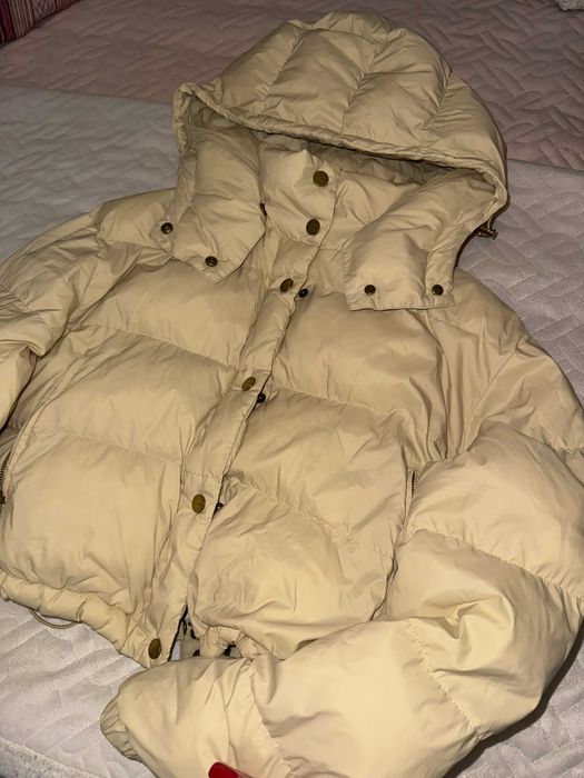 Яке PINKO 2023 collection