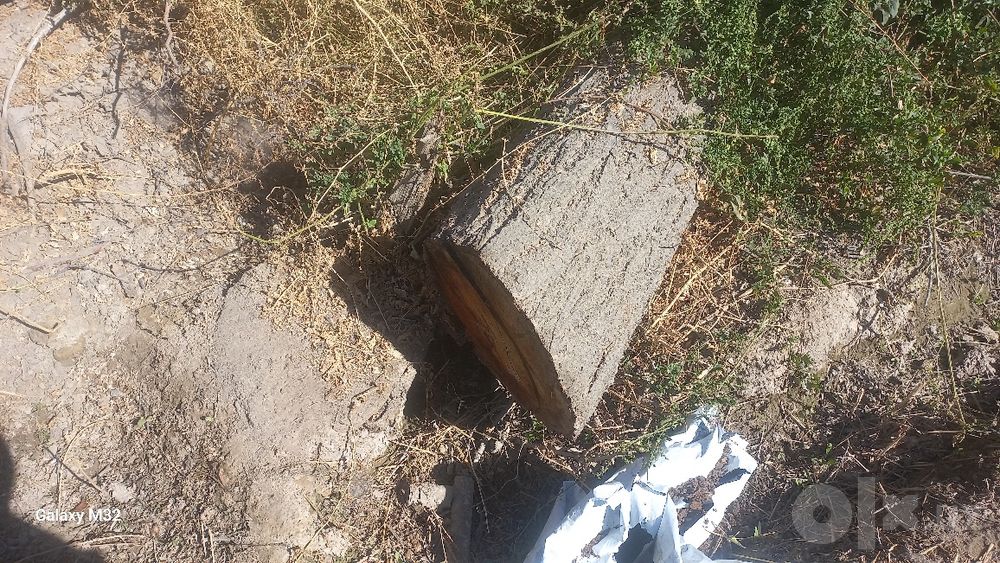 O'RIK ÒTIN SOTILADI tez va arzon