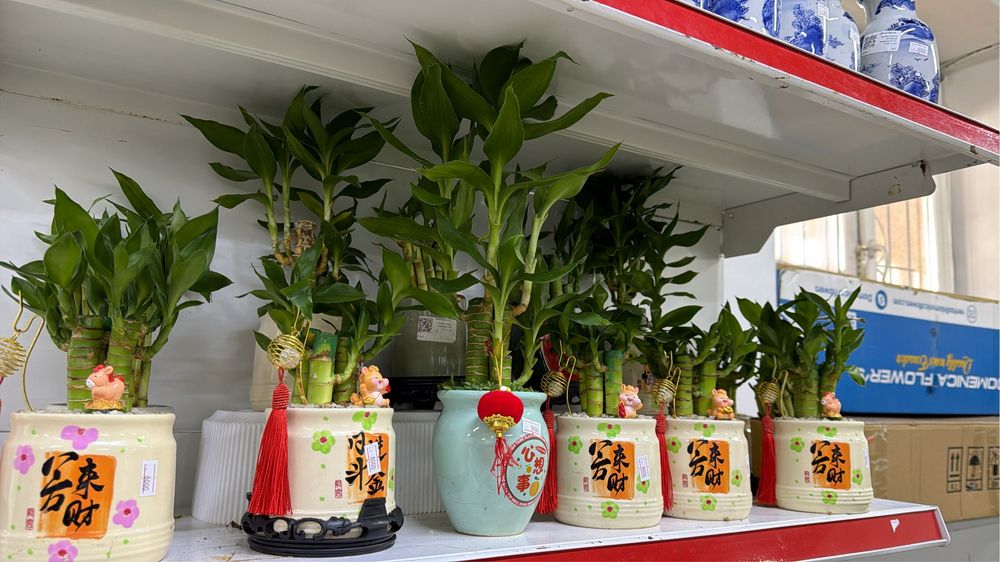 Бамбук в керамике