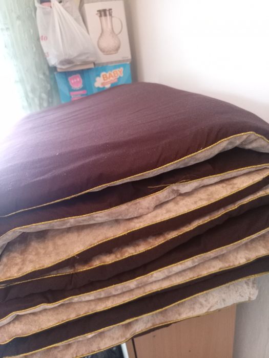 Продаются курпе   2 штуки