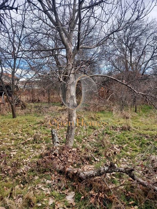 Продава се Къща в с. Златосел, Област Пловдив - 150 кв.м за 213 €/кв.м - Снимка #5