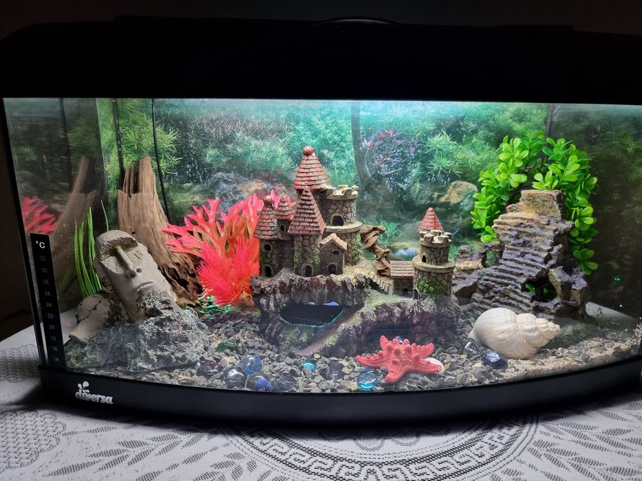 Acvariu Diversa 30L, sticlă curbată, stare foarte bună.