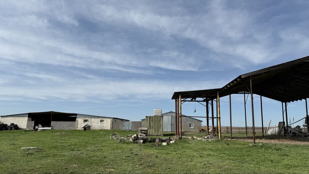 Продам Фазенду 8,08 га