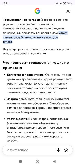 Котенок девочка на большую удачу