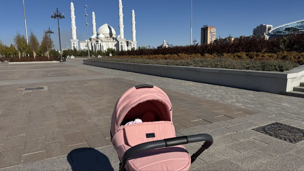 Коляска 2 в 1 Rant flex