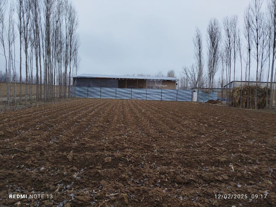 Toshkent  Yangiyoʻl Xalqbot Yer sotldi 10 soʻtik 4 xonasi bor bitgan