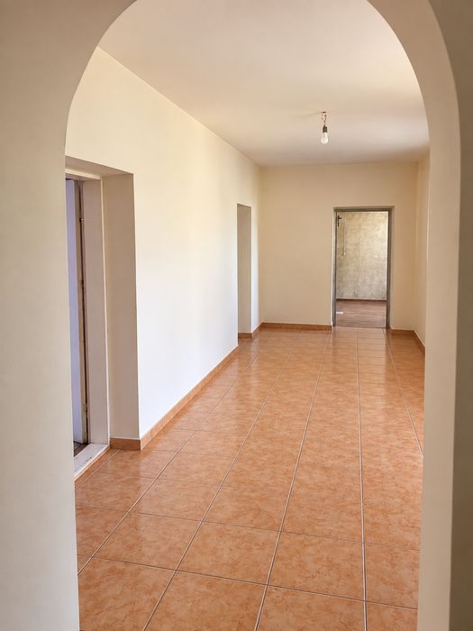 Casă cu teren 1809 mp Sacalaz  Proprietar