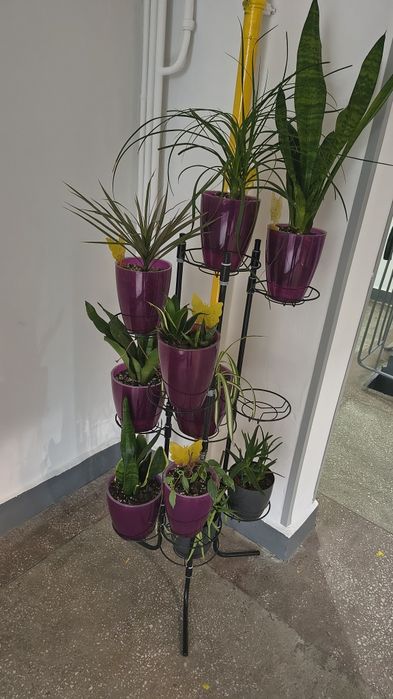 Suport plante 11 ghivece