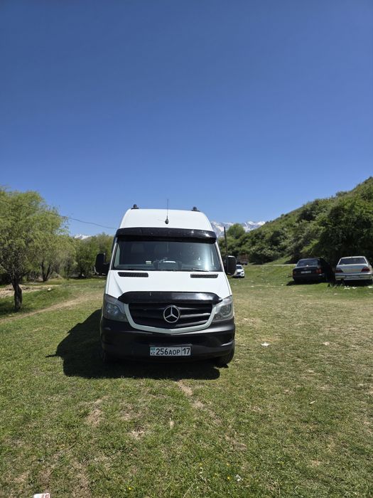 Перевозка пассажиров