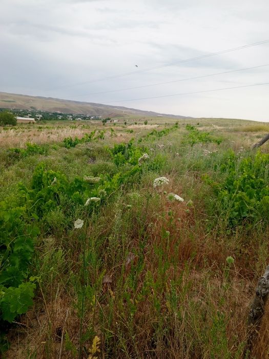 Учаска сотилади уйхамбор