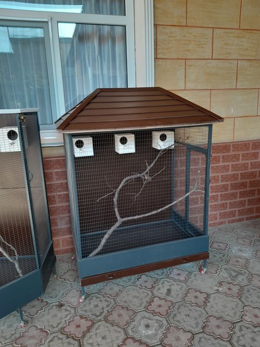 Кустарга клетка сатылады