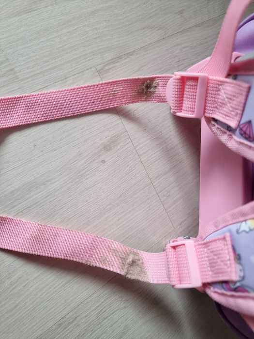 Ghiozdan Gradinita si Scoala Troller Fete Fanatee