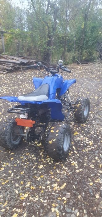 Vând/schimb atv bashan