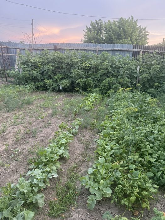 Продам коттедж  пос Кенгир подзоз