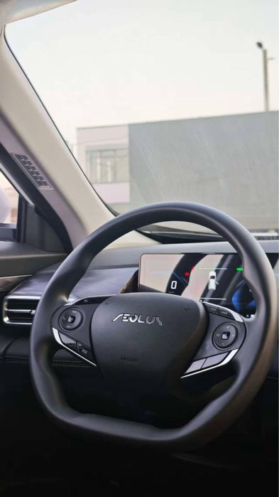 Dongfeng sky01 elektro